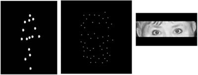 Ties between reading faces, bodies, eyes, and autistic traits